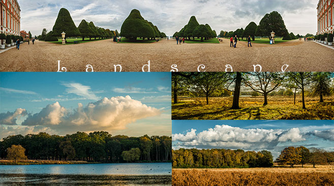 collage-landscape