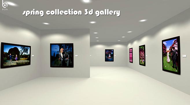 spring flwrs 3d gllary