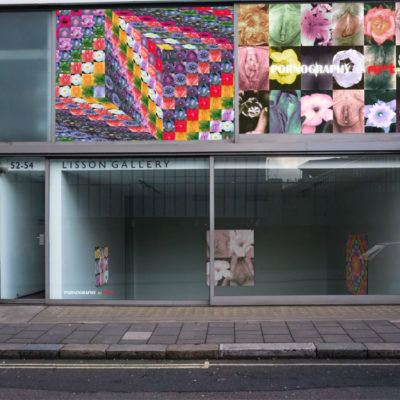 Flowers, Lisson Gallery