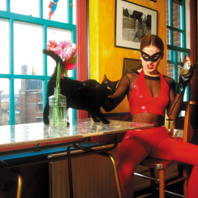 Catwoman, Paws for Lunch